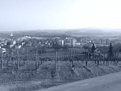 Blick auf Weinfelden