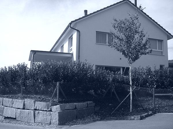 Neubau Einfamilienhaus